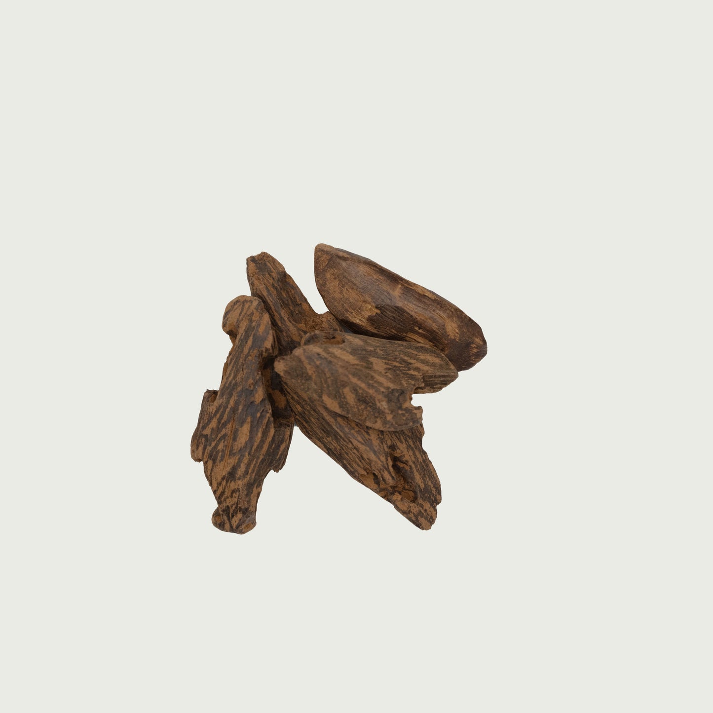عود ماروكي أصيل